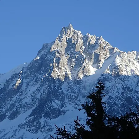 La Barme Vallee De Chamonix فندق ليز أوش